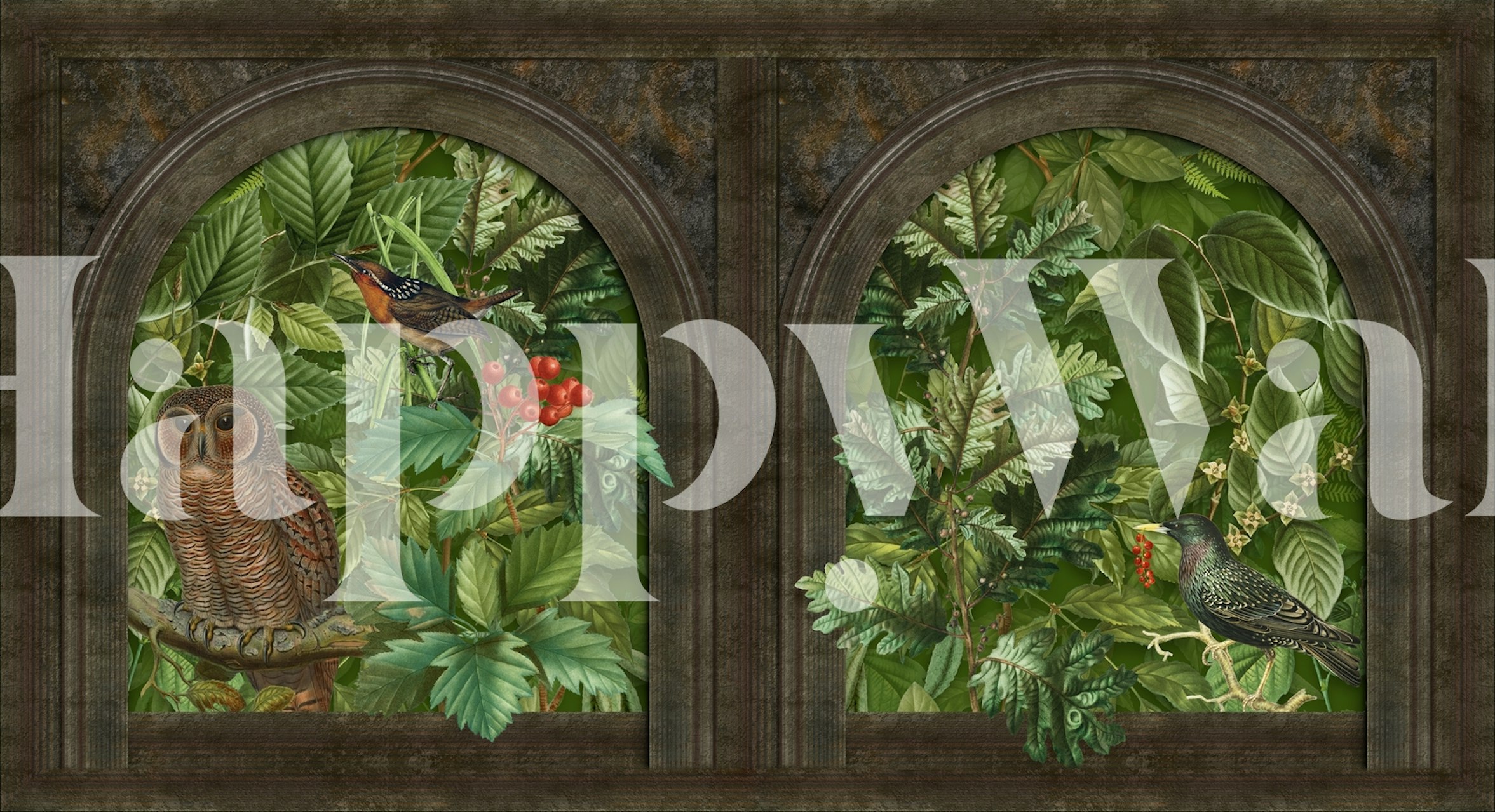 Papel pintado de aves con Window With Owl en una habitación