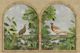 Pheasant and Partridge II