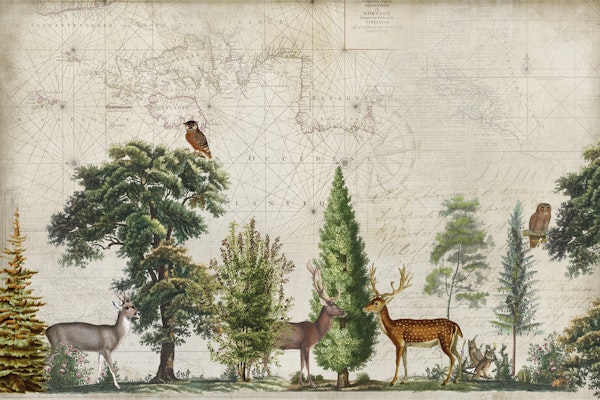 Vintage Nordic Wildlife