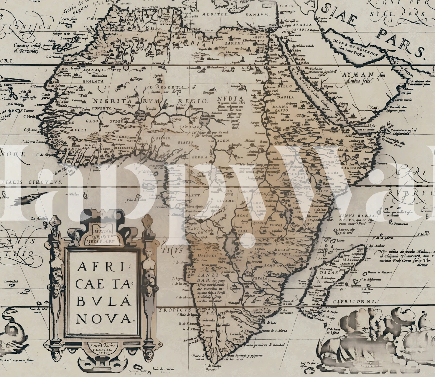 Vintage Africa map wallpaper in a room