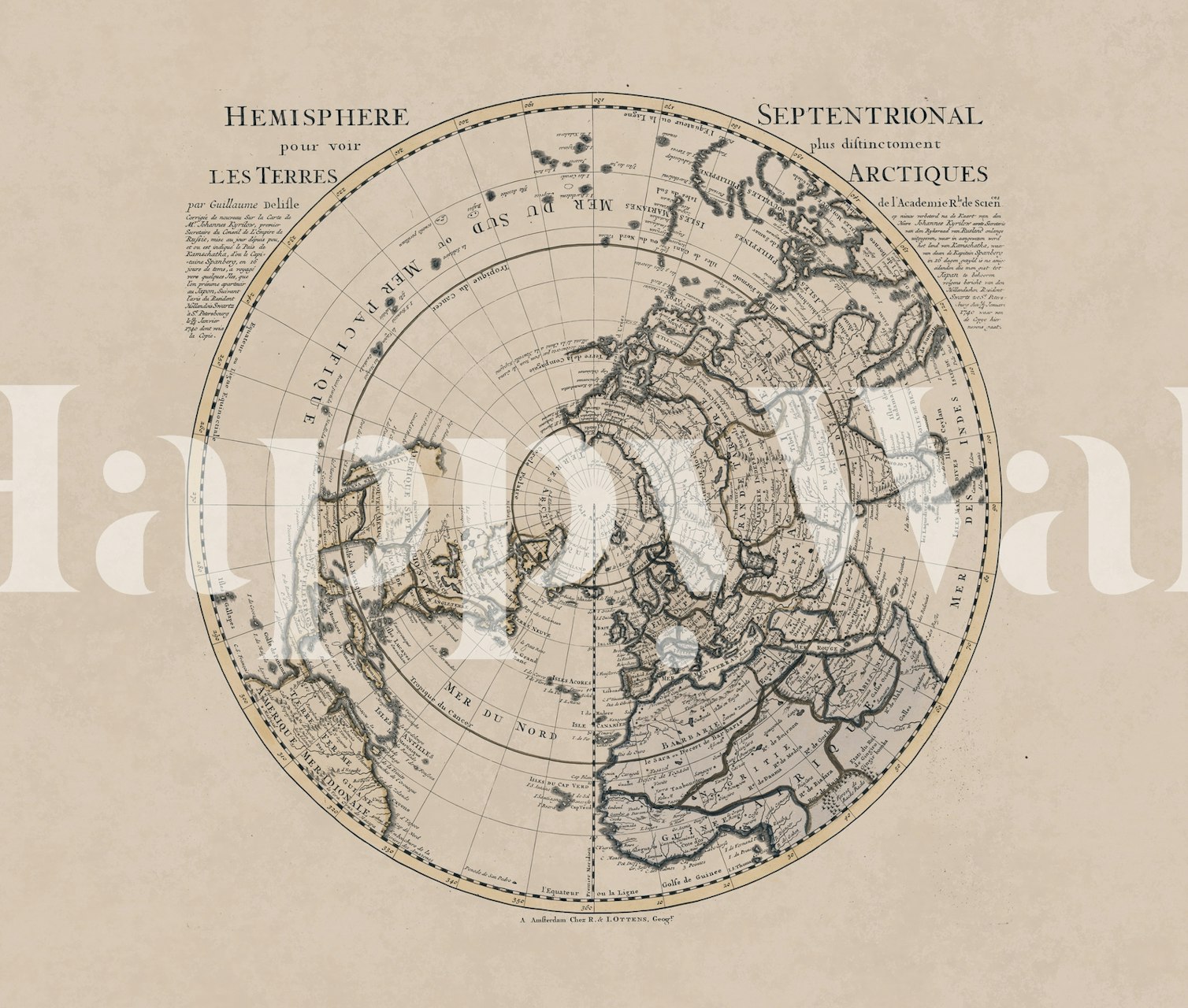 Papier peint mural carte de style antique de l'hémisphère nord dans des tons sépia