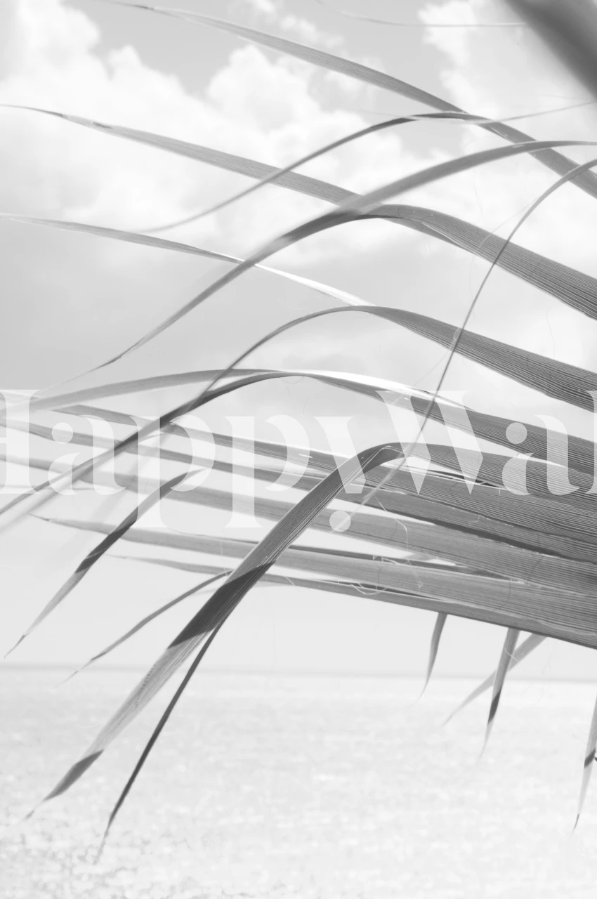 Tropical Palm Ocean View wallpaper