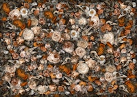 Baroque Macabre ταπετσαρία