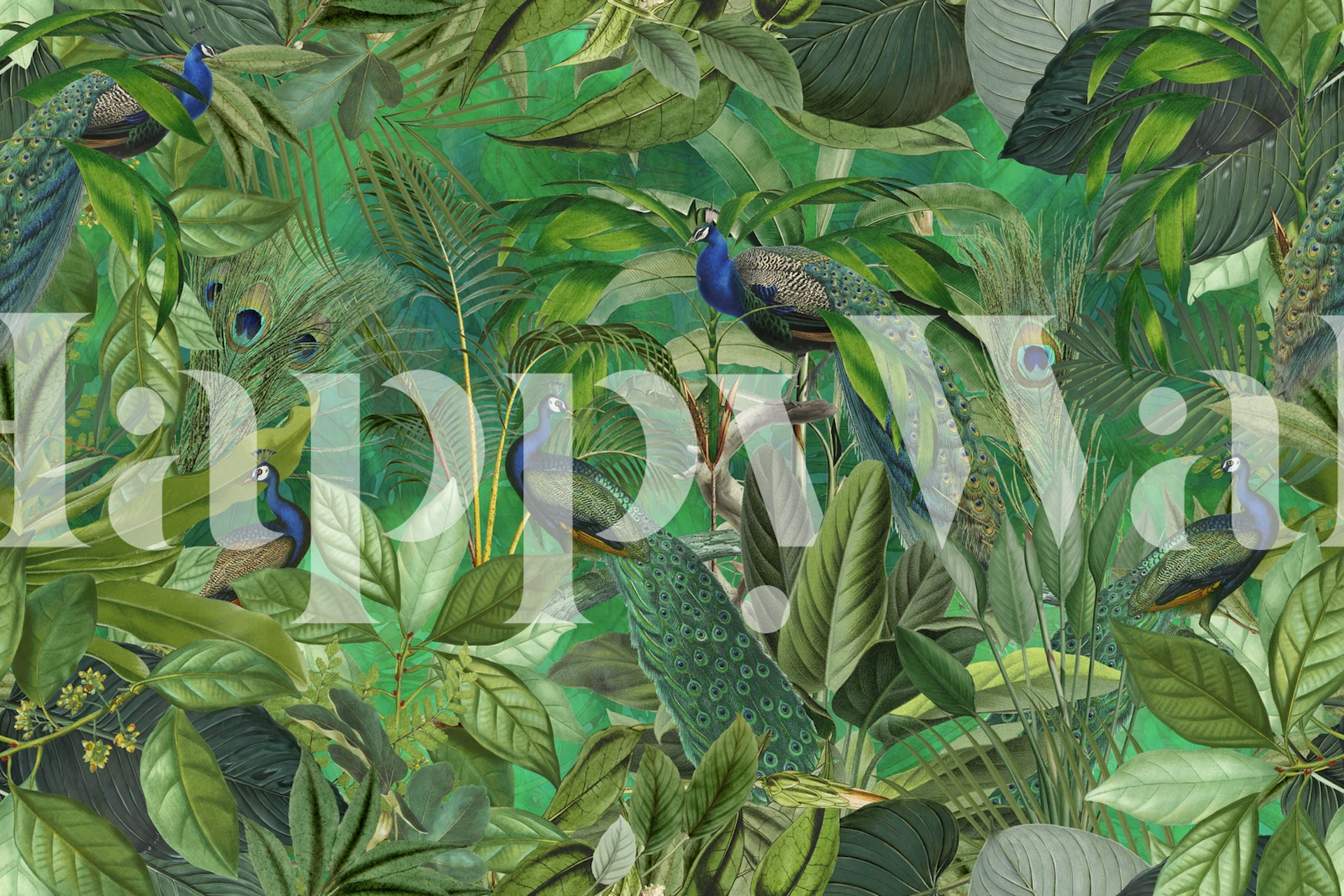 Peacocks Green Paradise wallpaper in a room