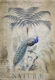 Peacock Jungle King II
