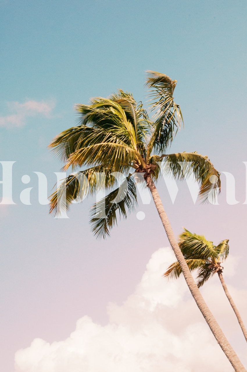 Tropical palm trees against blue sky wallpaper