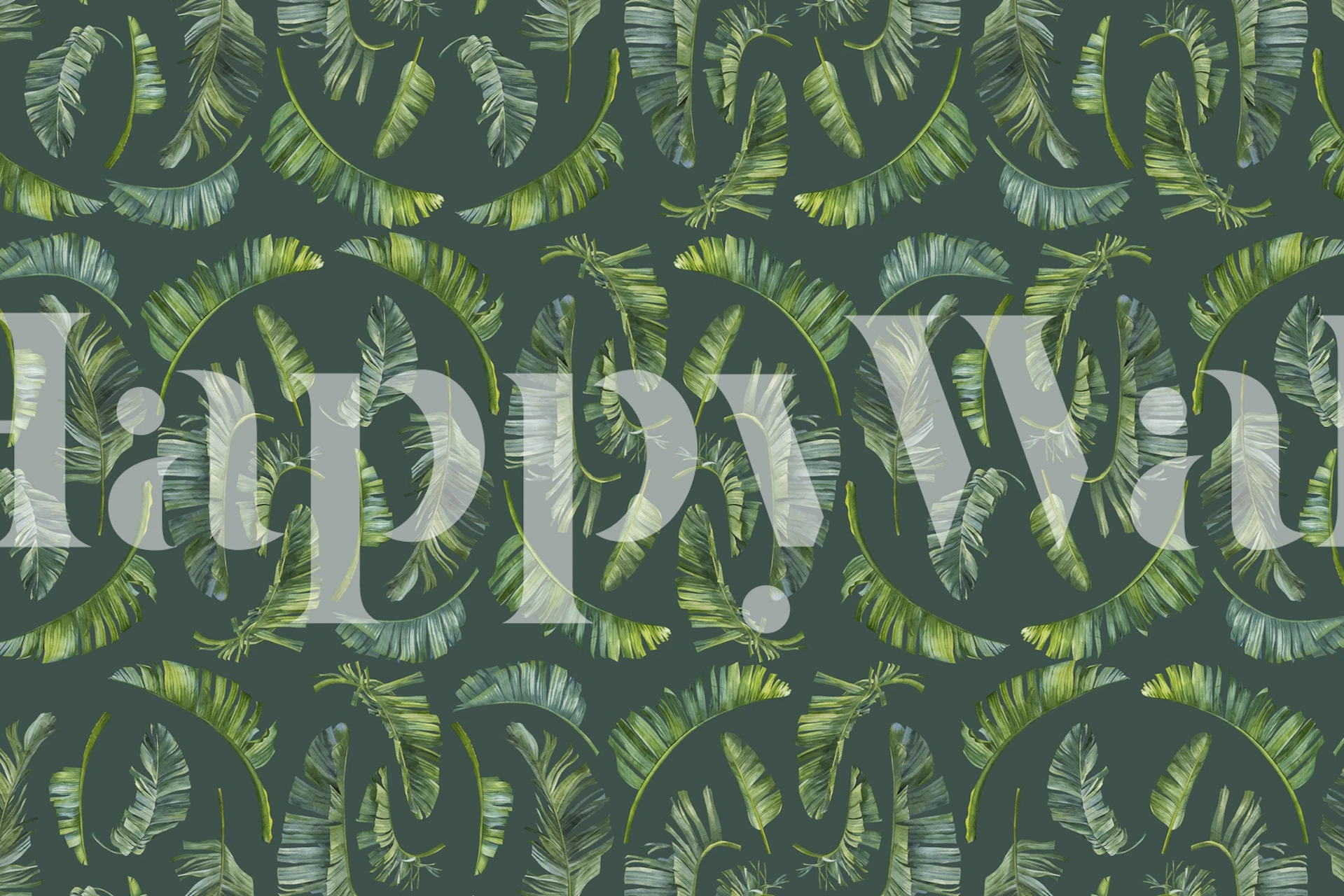 Tropical leaf pattern with various green shades wallpaper