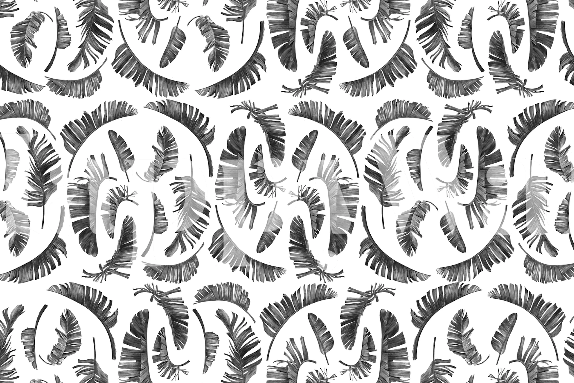 Black and white leaf pattern wallpaper featuring various leaf shapes