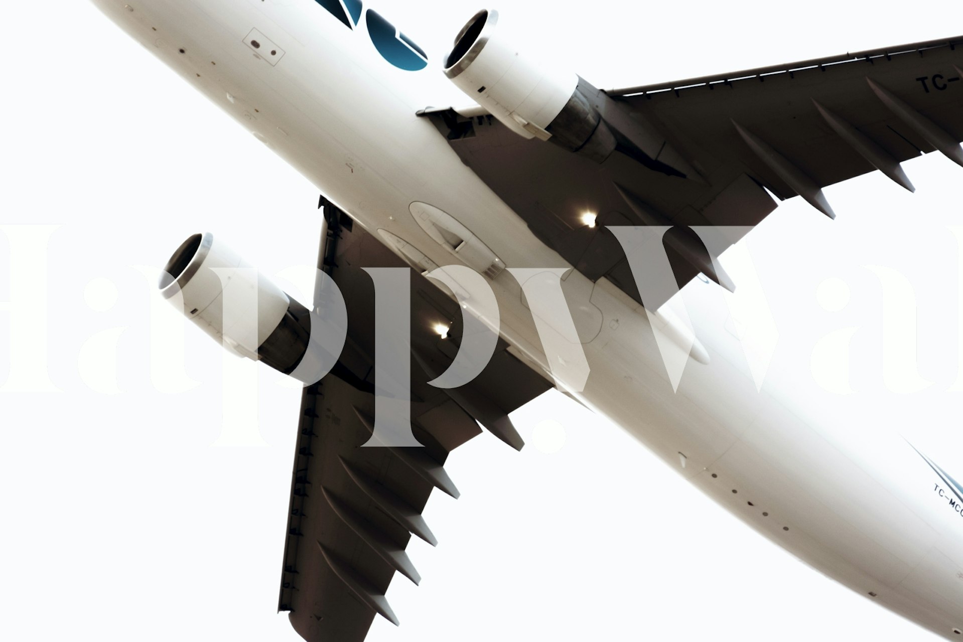 Overhead 11 wallpaper displayed in a room