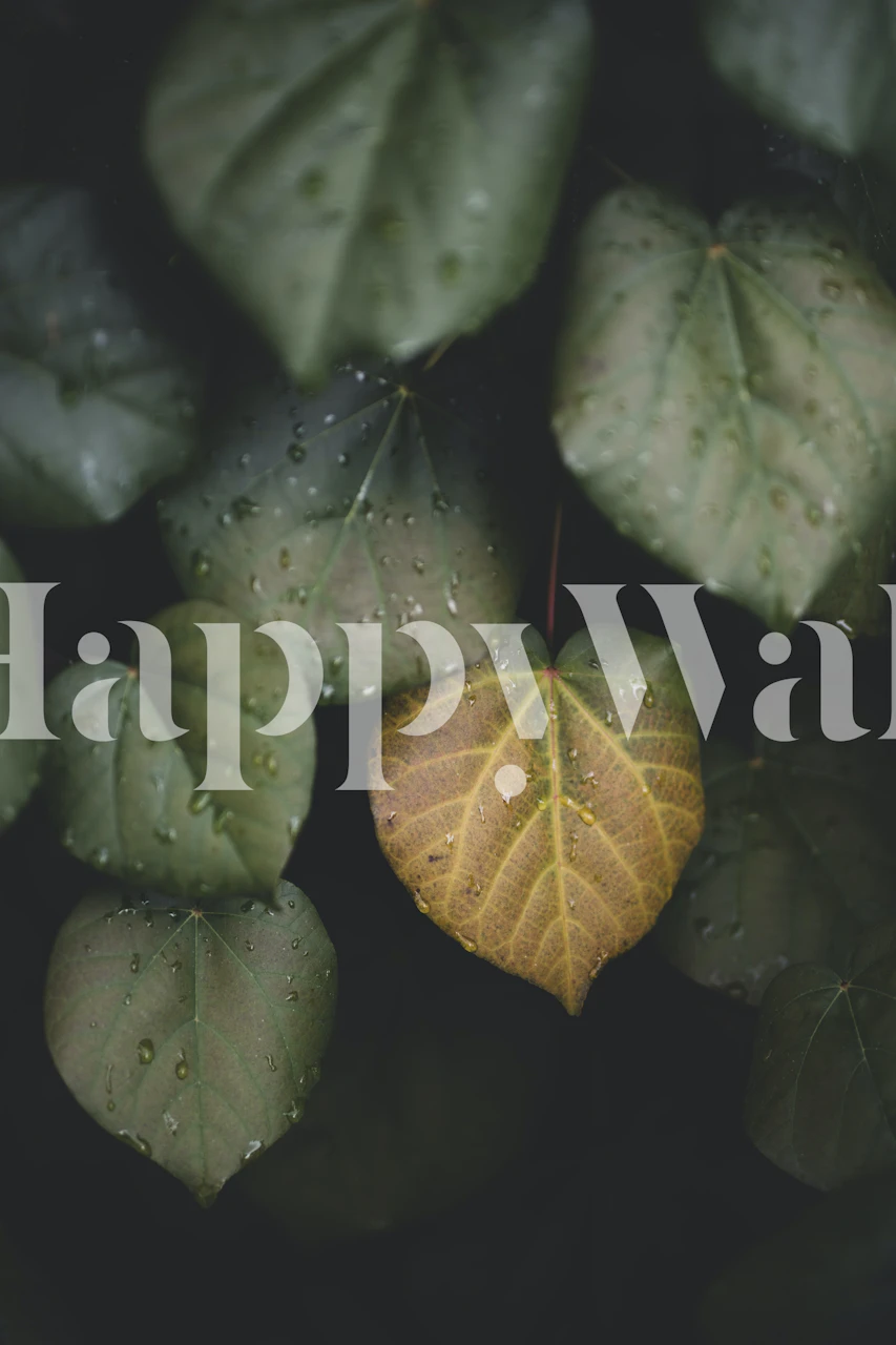 Close-up de folhas de inverno com uma única folha dourada entre as verdes.