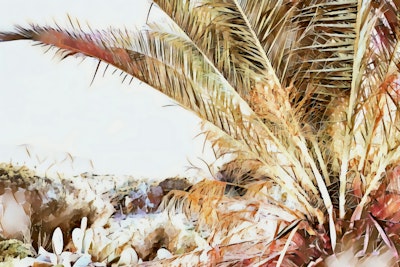 Mural