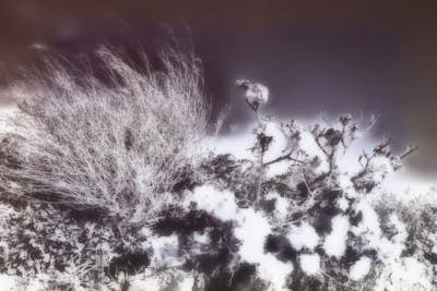 Τοιχογραφία