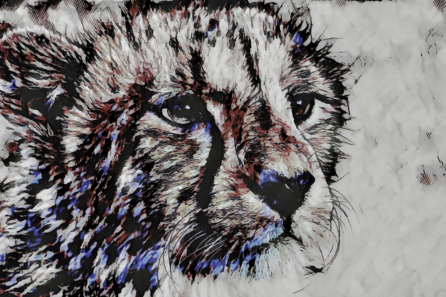 Cheetah on Grey Background Wallpaper Buy Now Happywall