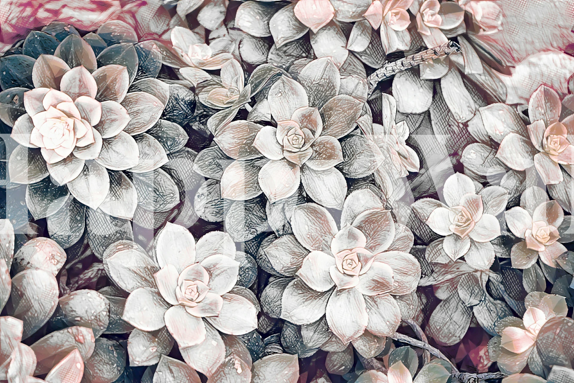 Succulent garden wallpaper design in a room