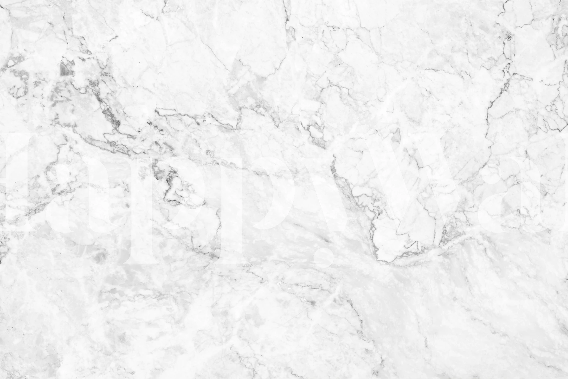Elegant marble texture wall mural for a sophisticated interior