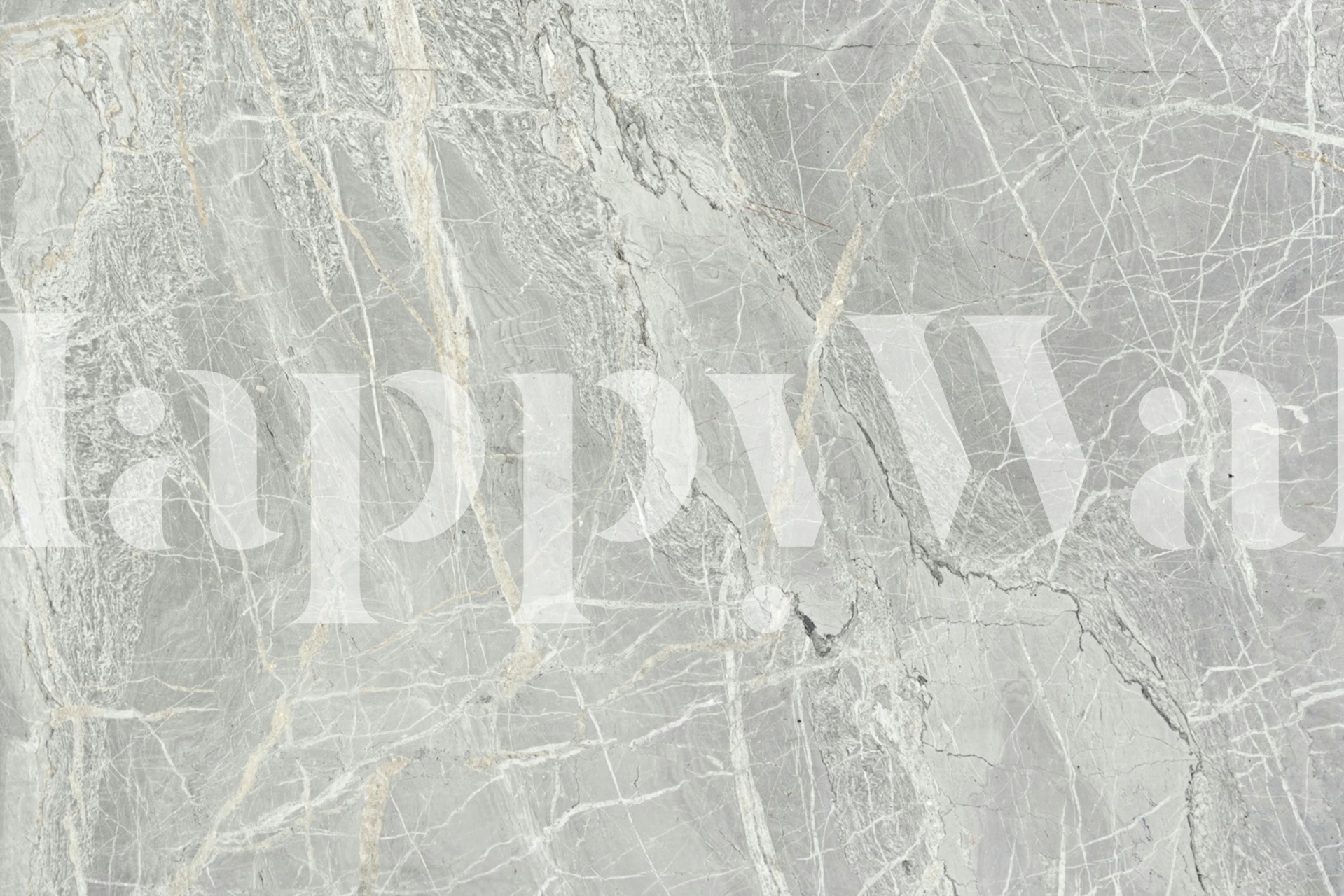 Gray marble texture with white veining wallpaper