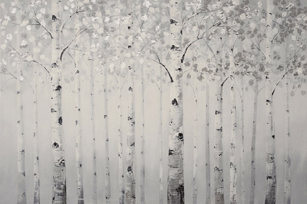 Birch Tree