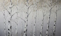 Modern Birch Forest carta da parati