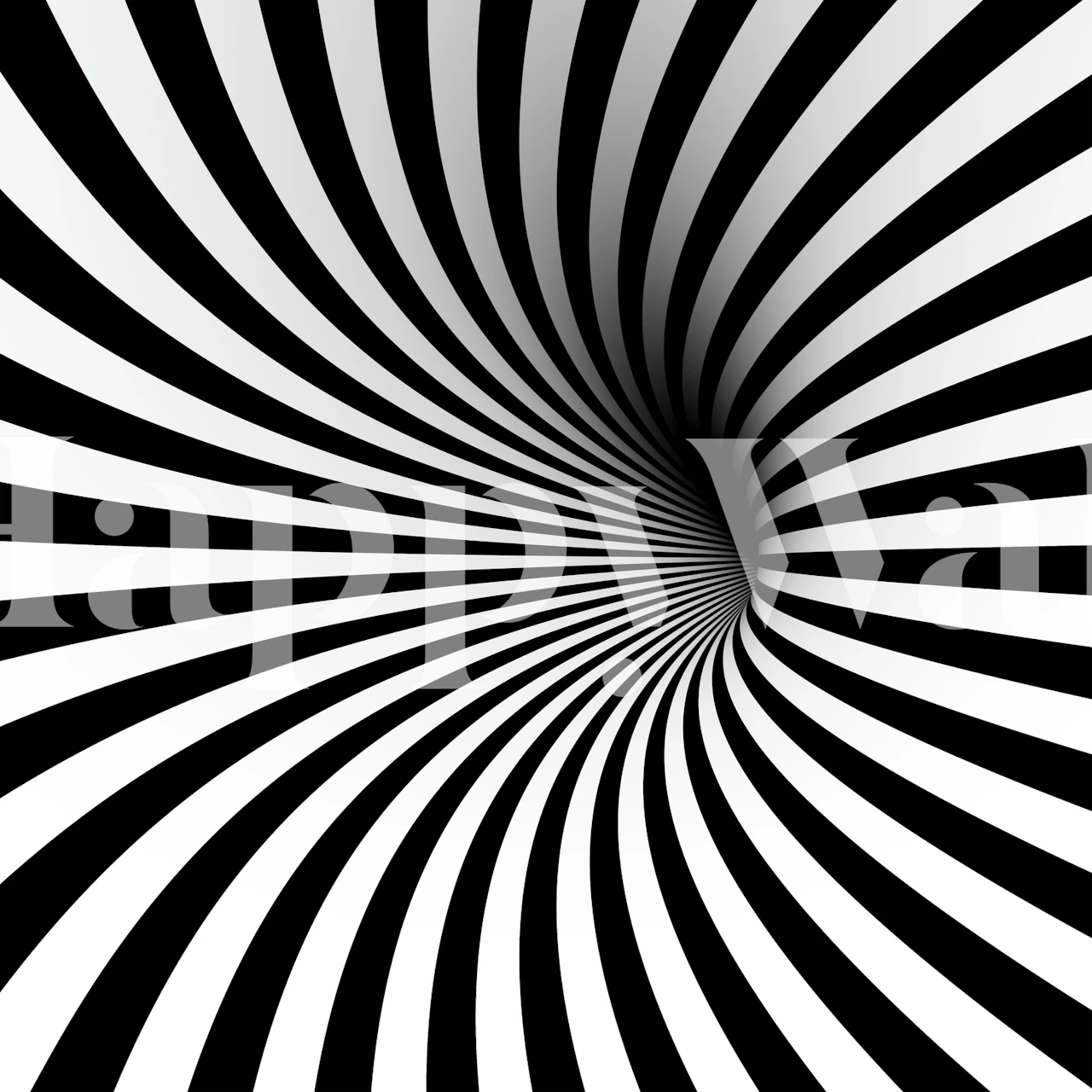 Black and white striped wallpaper creating an optical illusion