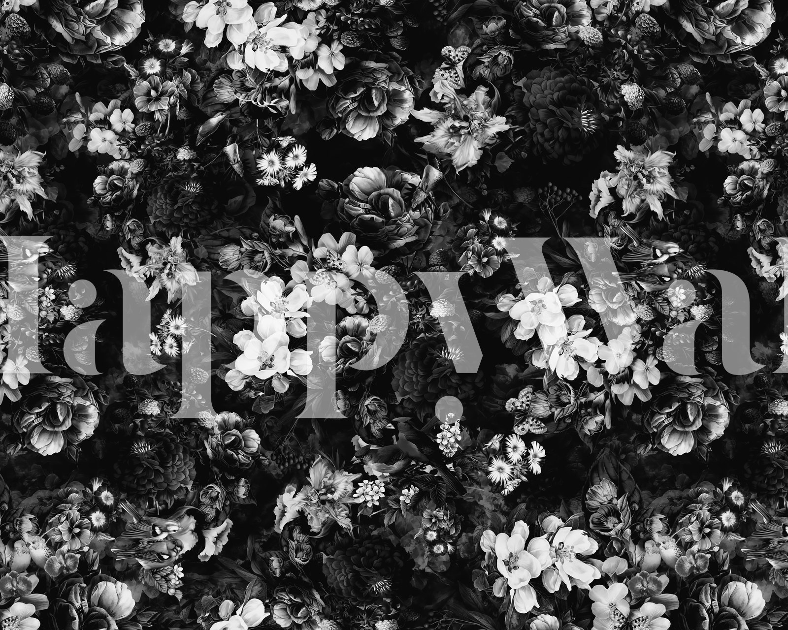 Fleurs noires et blanches sur fond sombre papier peint