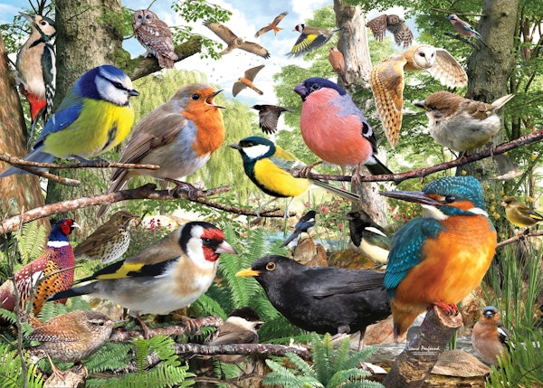 British Birds