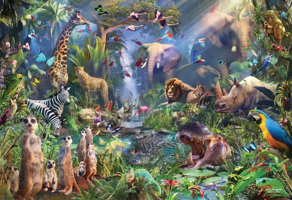 Into the Jungle Colour