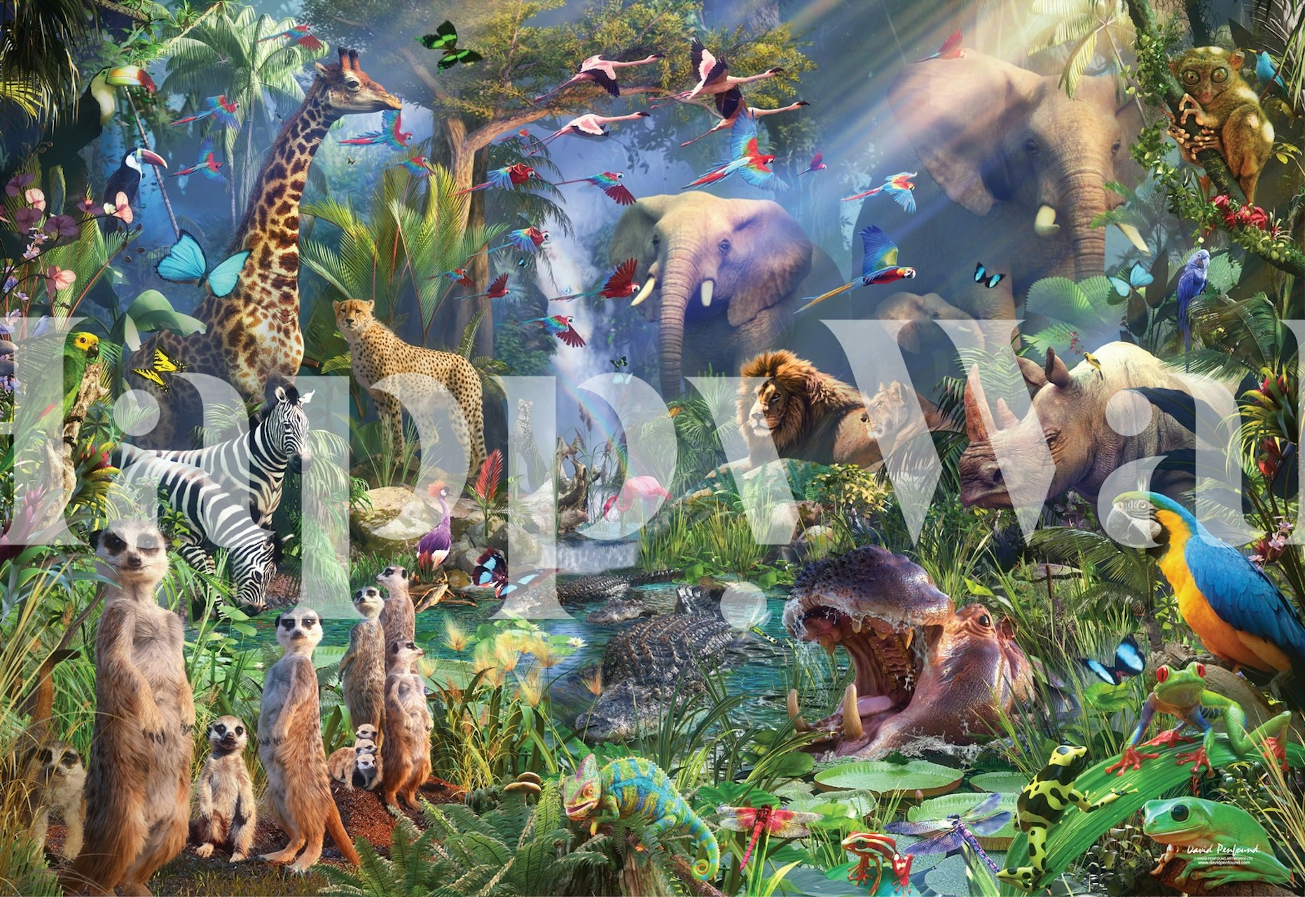 Tropical jungle wall mural featuring vibrant wildlife and lush greenery
