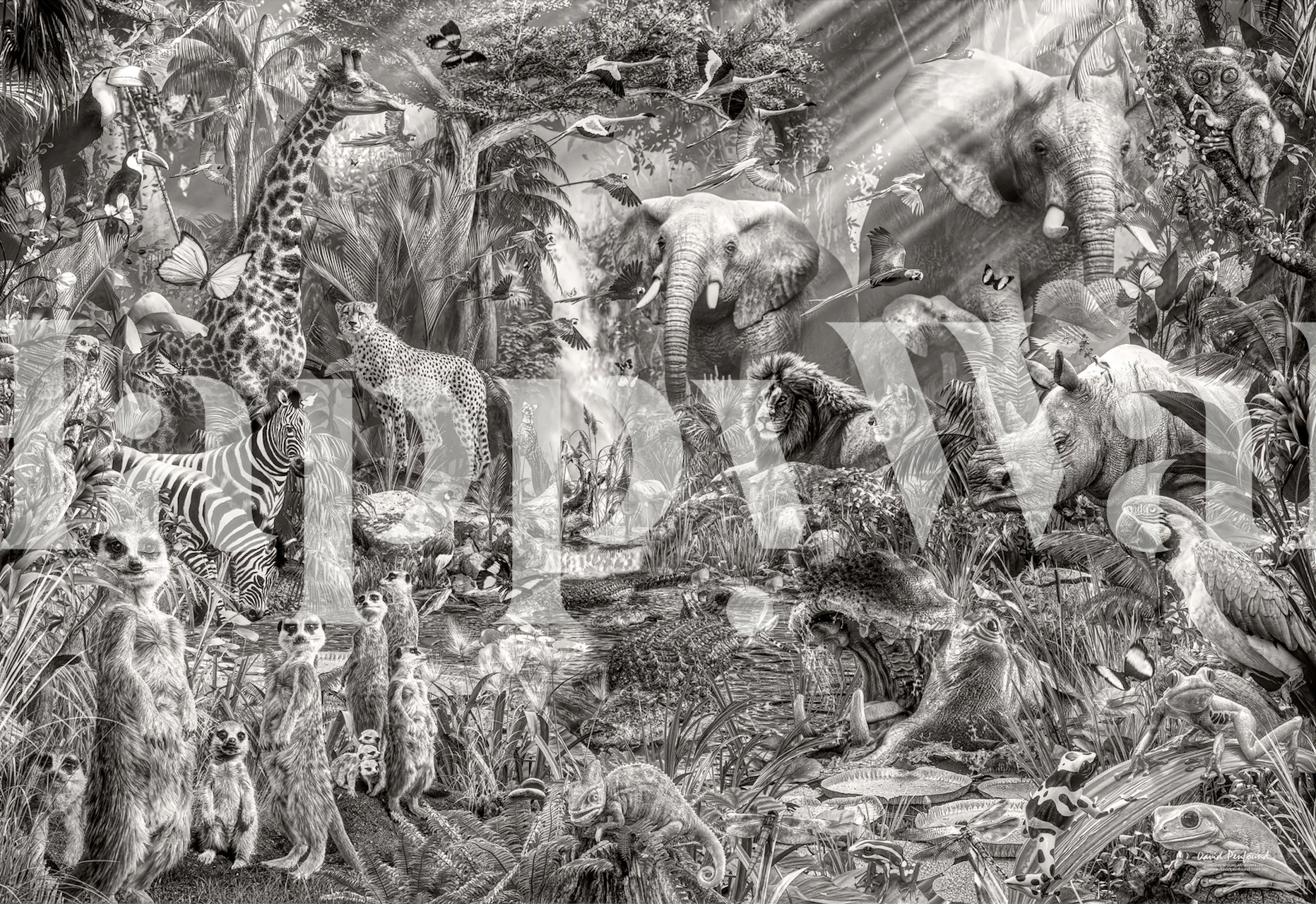 Jungle animal scene with elephants, lions, and zebras in black and white wallpaper