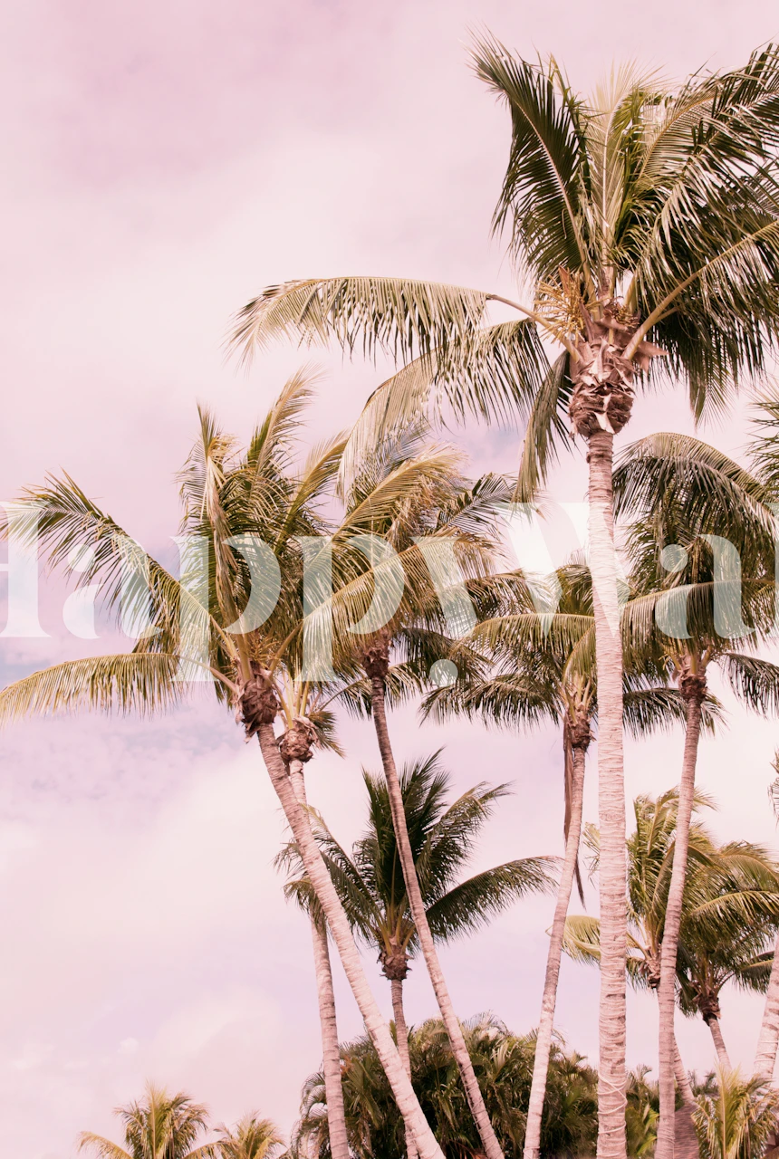 Palm Trees Finesse vægmaleri med pastel himmel baggrund