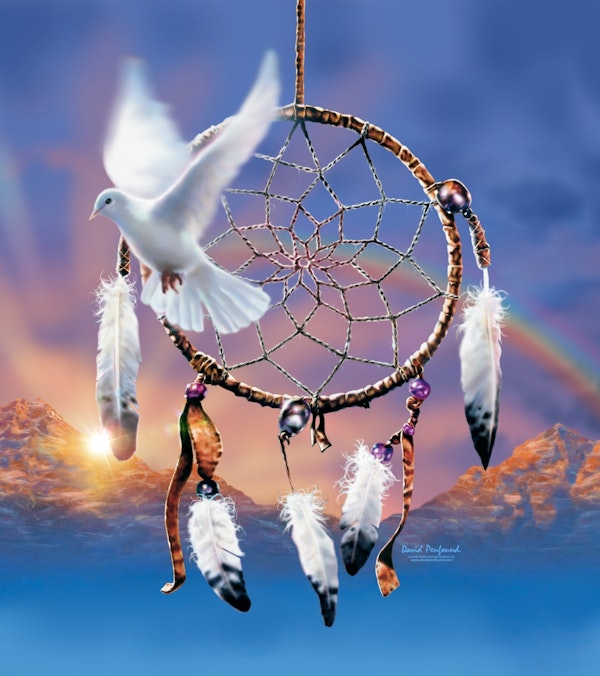 Dream Catcher Dove