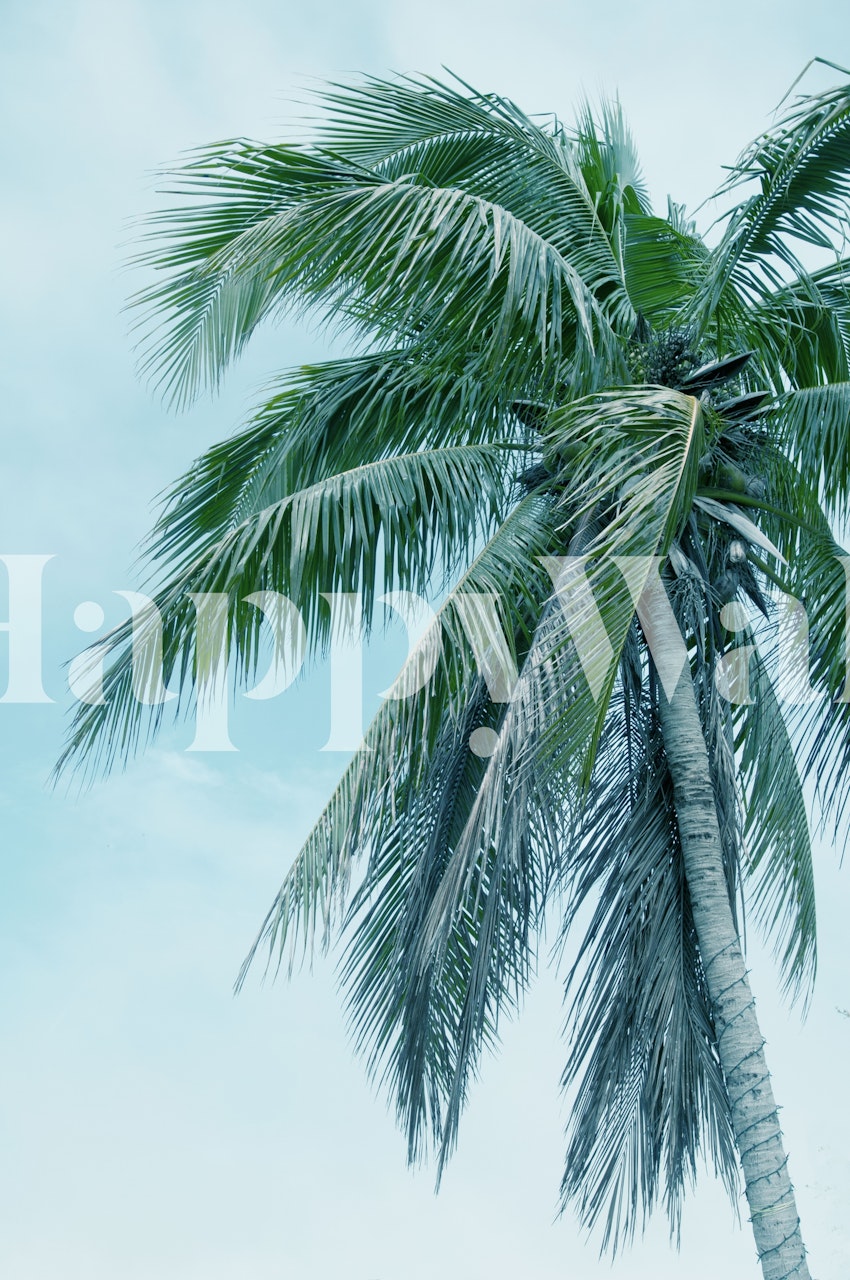 Tropical palm tree against a clear sky wall mural