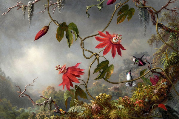Tropical Vintage Jungle
