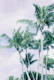 Palm Trees Finesse 3