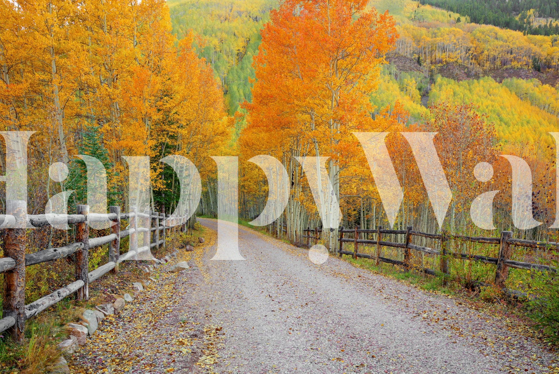 Wondrous Journey tapetti huoneessa, jossa on syksyn puita