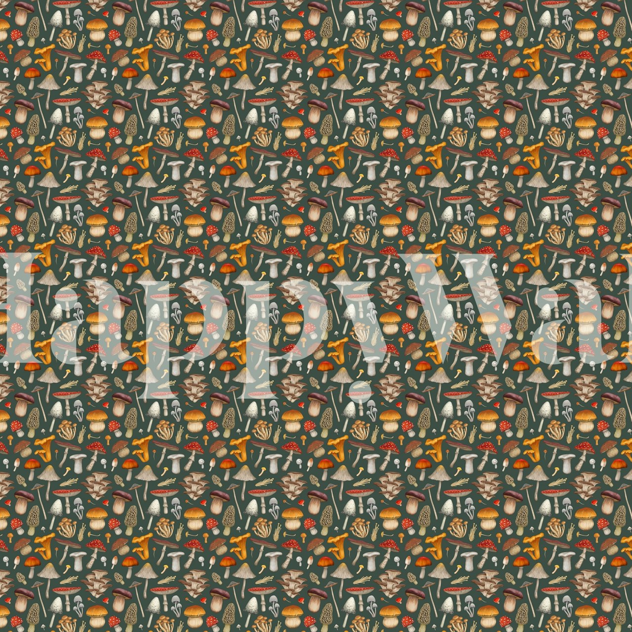 Forest Mushrooms behang in een kamer