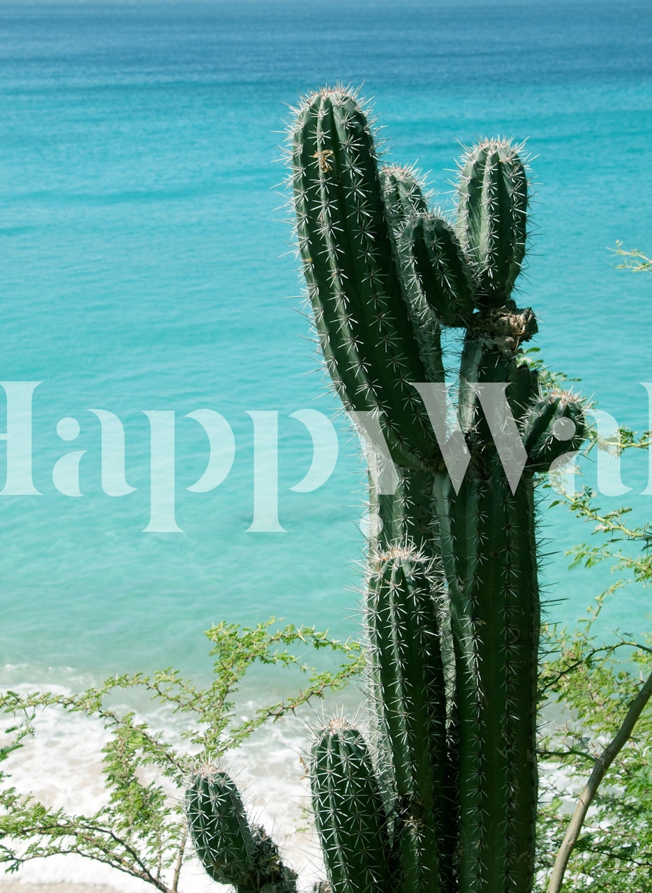 Cactus in front of blue ocean beach wallpaper