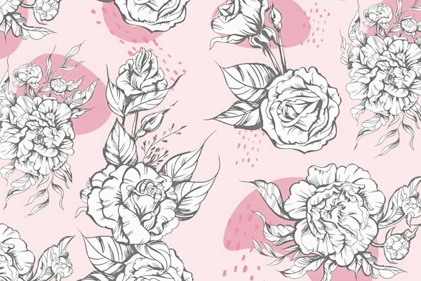 White Peonies on Pink