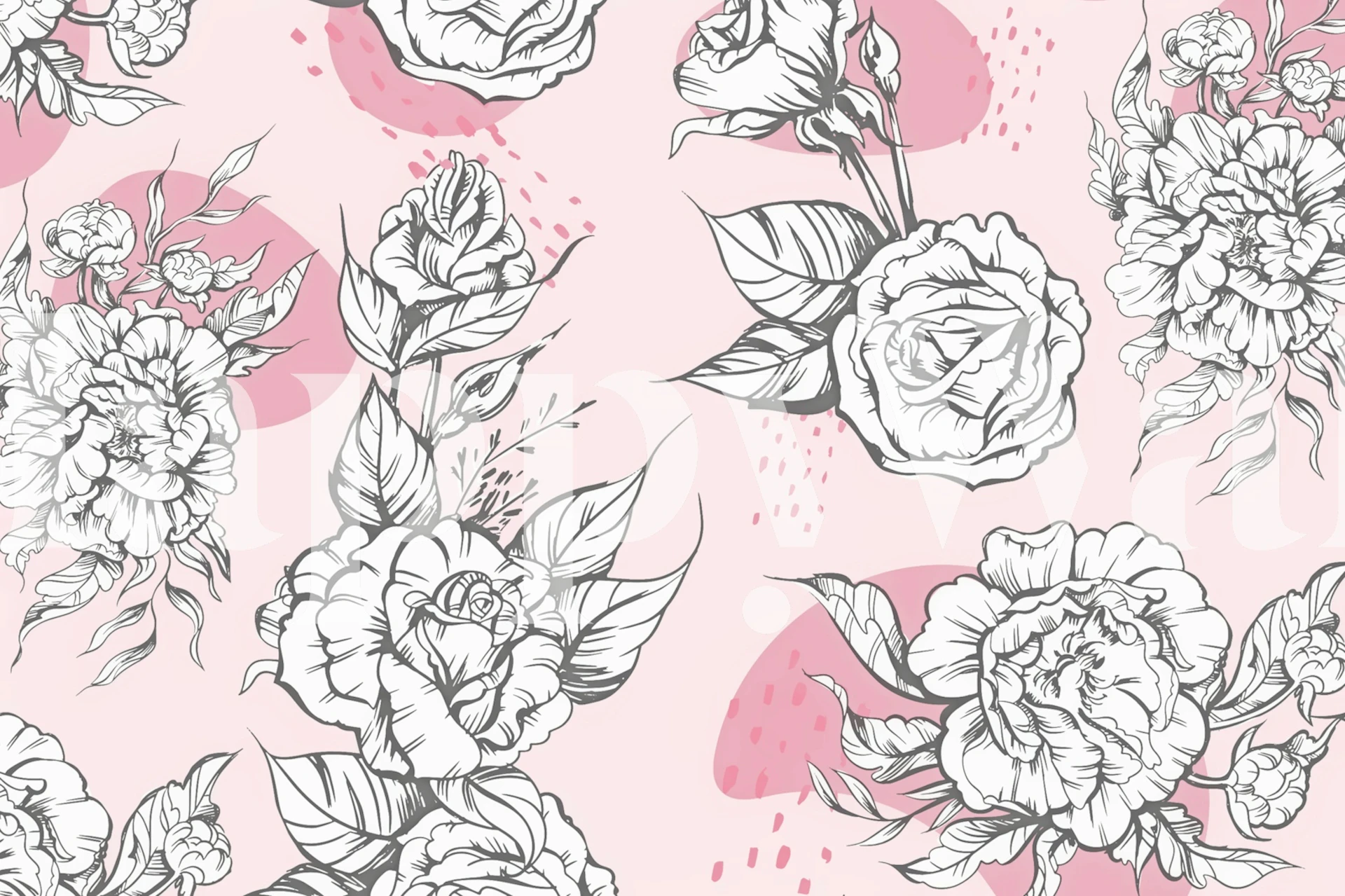 Elegant white peonies with detailed sketches over a pastel pink background wall mural.