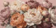 White Peonies on Pink