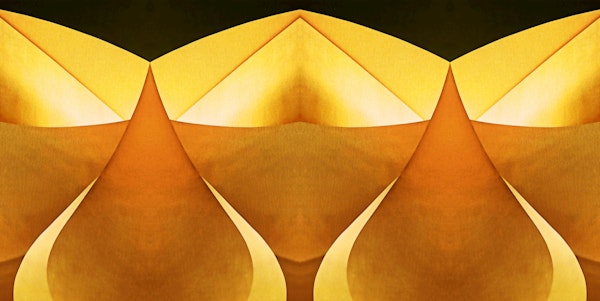 Golden Shine Geometry