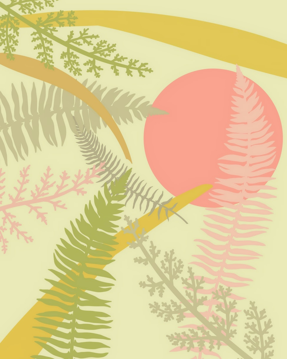 Buy Forest Moon Wallpaper Online Happywall