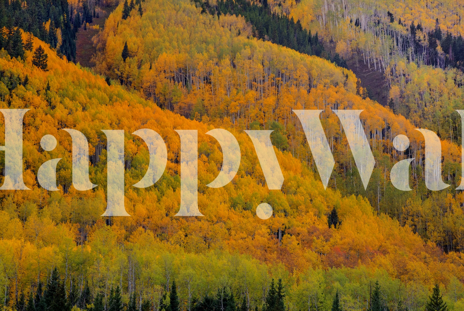 Autumn Metamorphosis landskapsbakgrunnsdesign