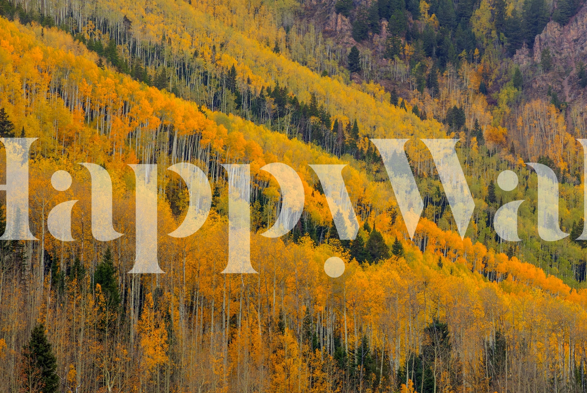 Autumn Rows wall mural with vibrant fall colors and tree lines