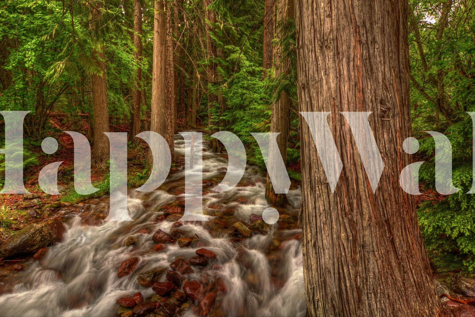 Forest river flowing through trees with vibrant green foliage wallpaper