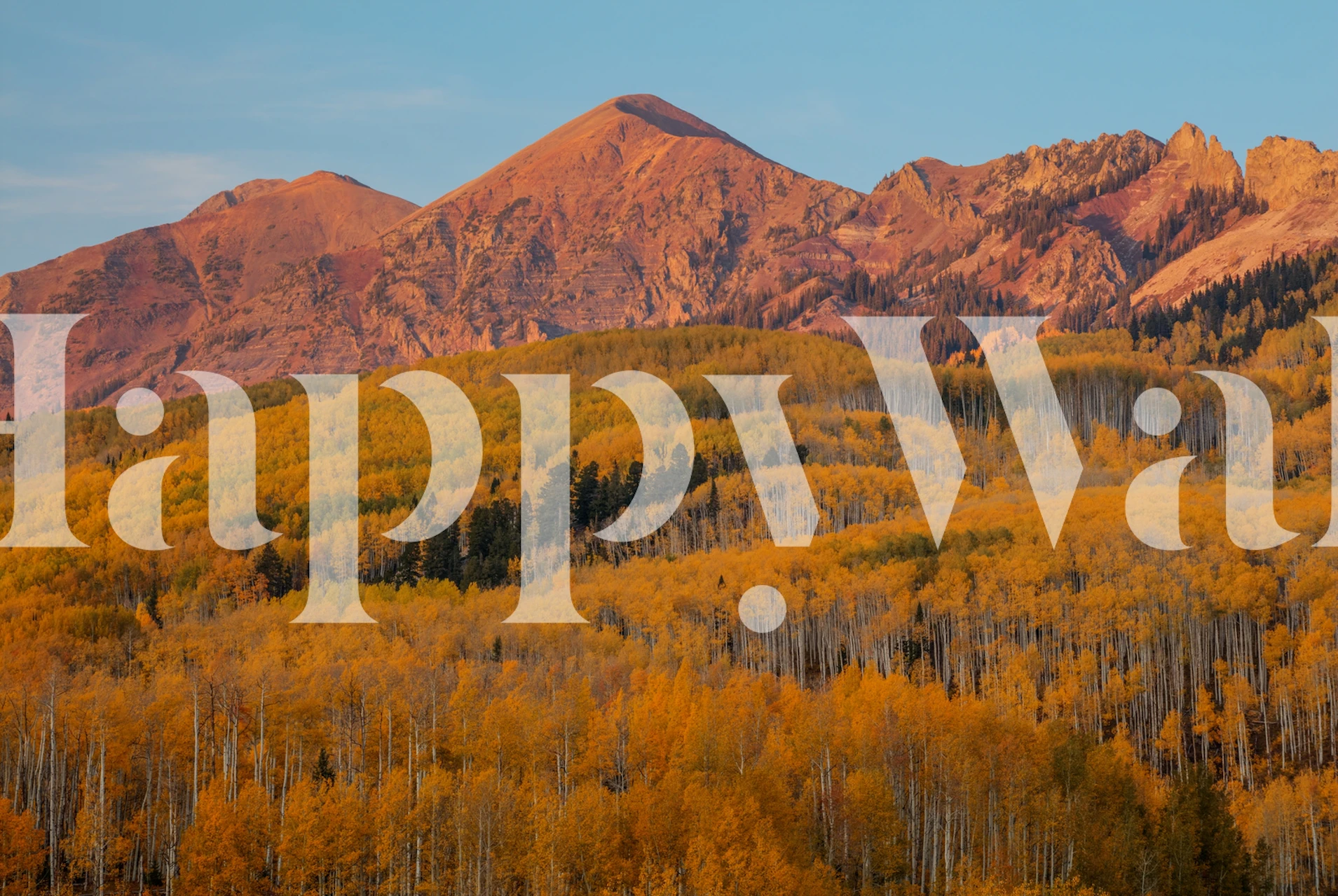 Autumnal forest with golden leaves in front of mountain landscape wall mural