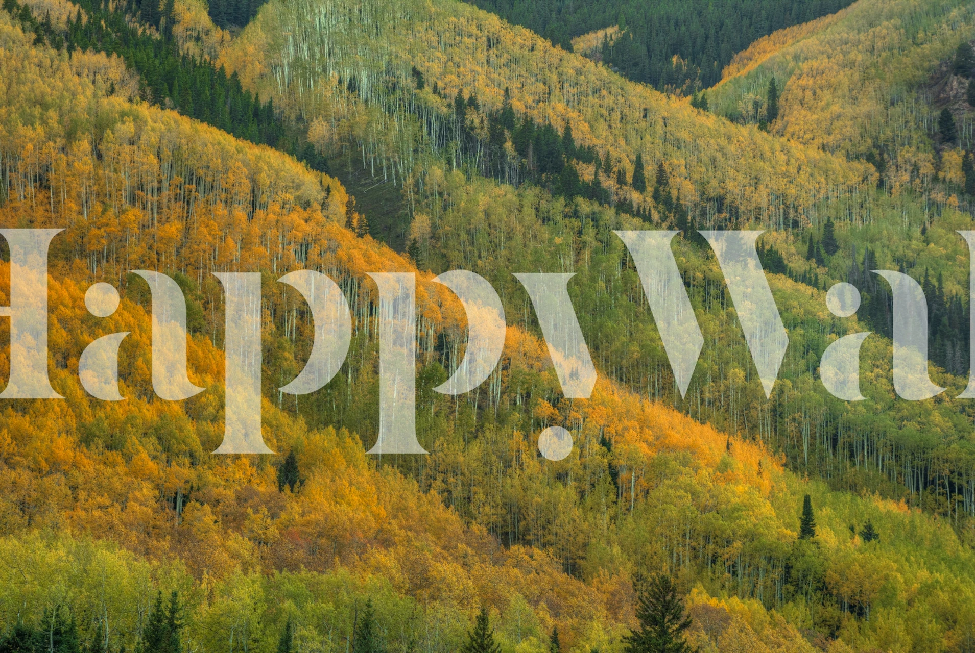 Värikäs tapettisuunnittelu huoneessa