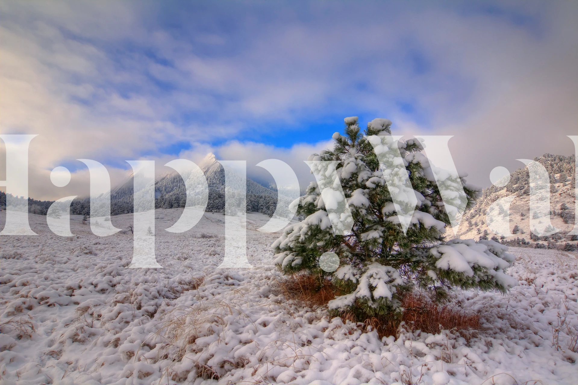Fotomurais paisagistícos Paisagem de Flatirons coberta de neve com pinheiro