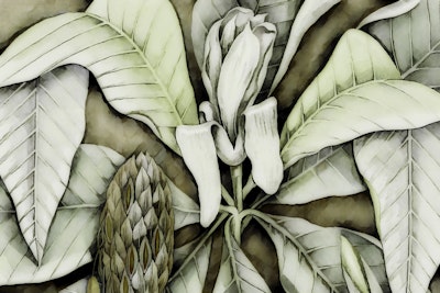 Mural