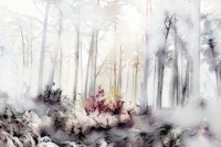 Sunny Misty Forest Wallpaper wallpaper