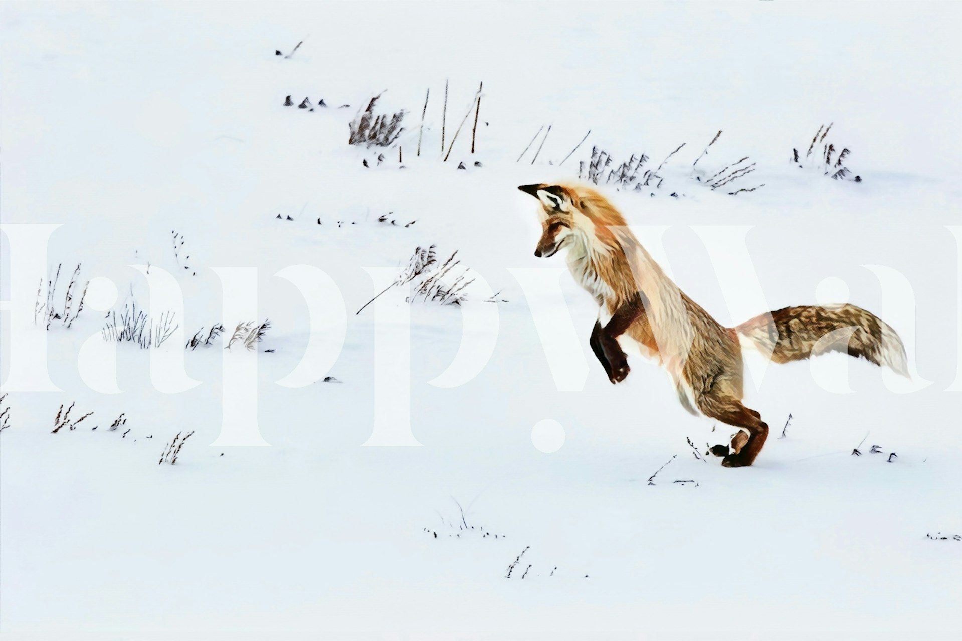 Nordic Fox wallpaper featuring a leaping fox in a snowy landscape, realistic style.